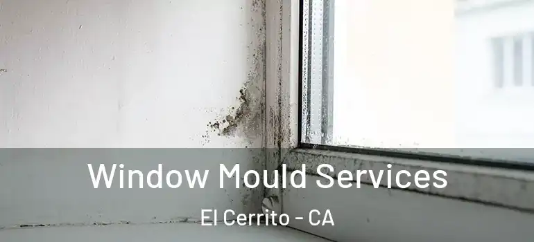  Window Mould Services El Cerrito - CA